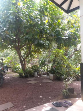 Villa Kosgoda